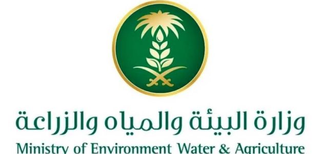 «البيئة» تُحذر: خطوات جديدة للحفاظ على نظافة أسواق الخضار ومنع تراكم الأتربة!